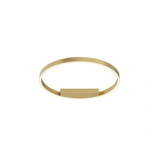 Изображение Потолочный светильник Рим / Rim 2600-3500К 35Вт
