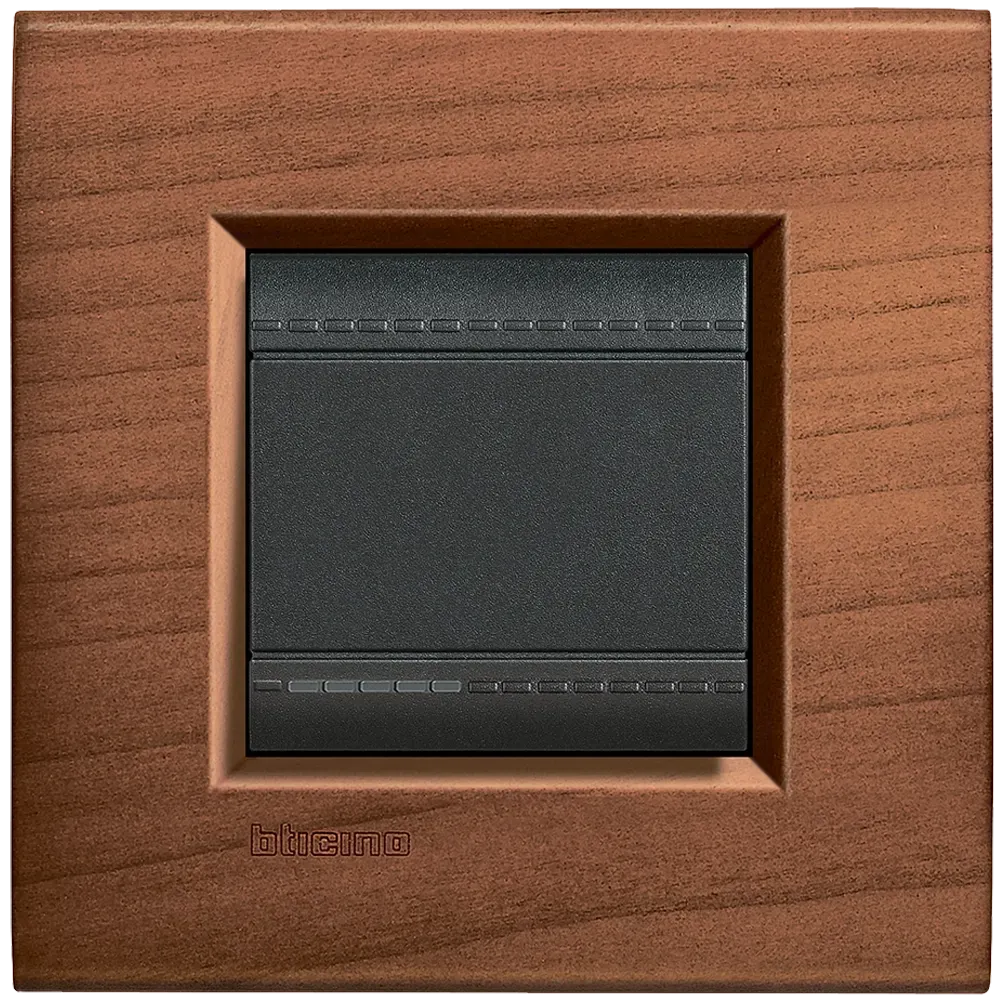 Американская вишня