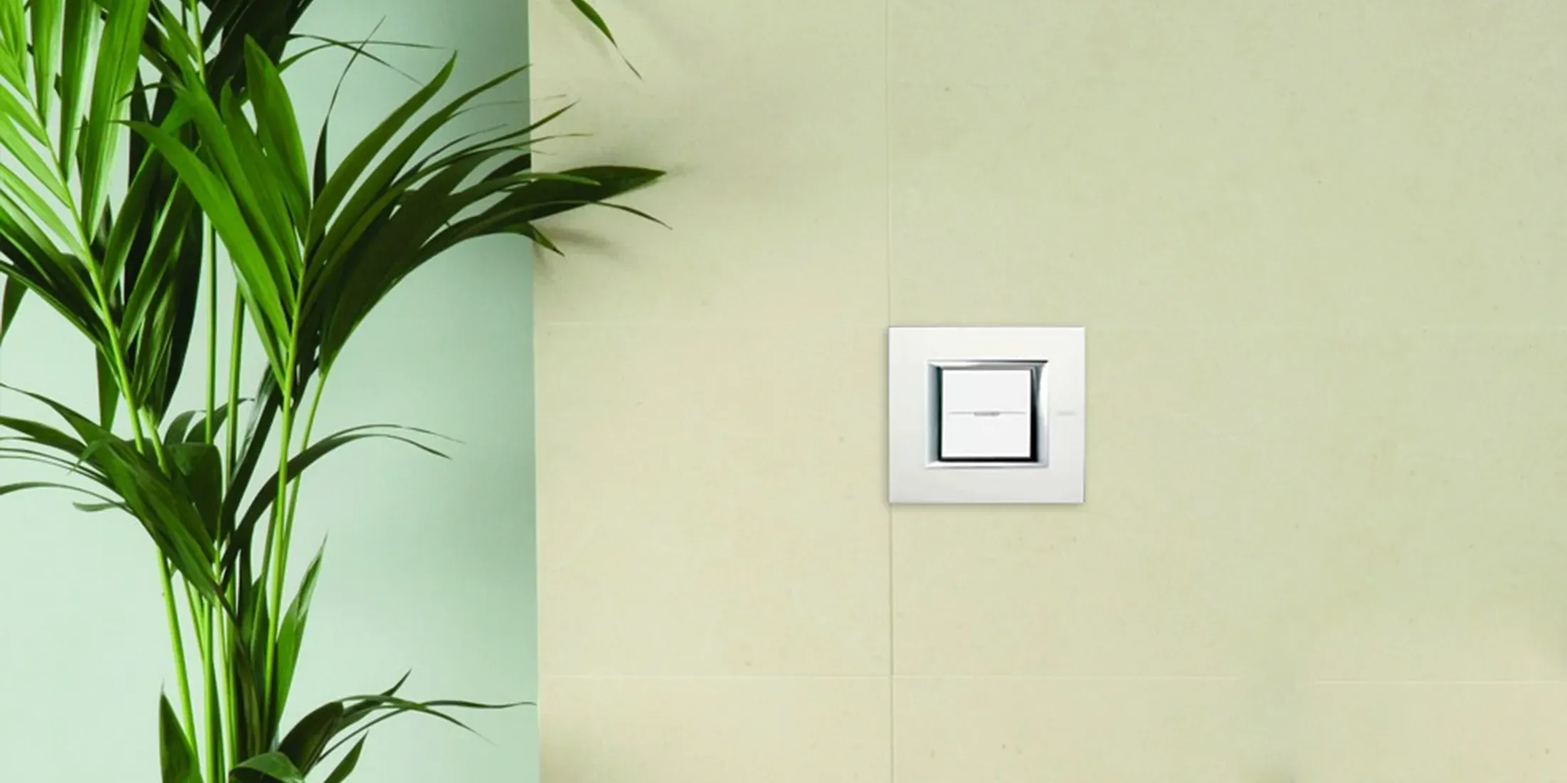 Axolute прямоугольник