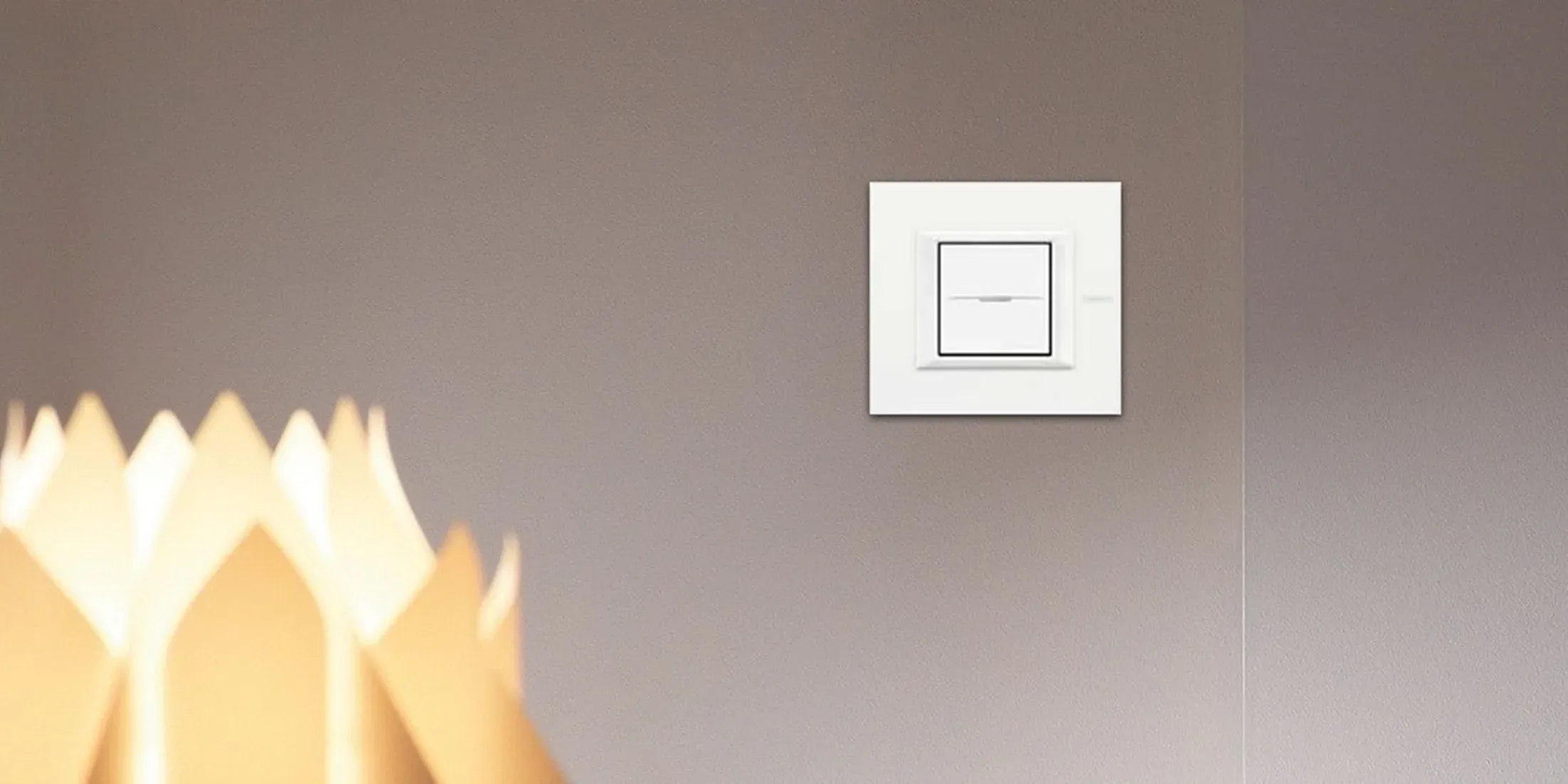 Axolute прямоугольник